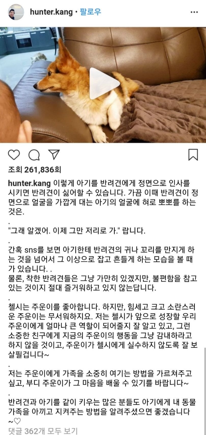 강형욱이 말하는 육아시 개의 타입 | 인스티즈