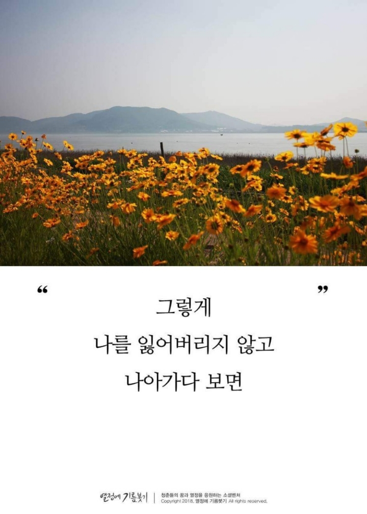 #감동스토리 삶의 표지판 | 인스티즈