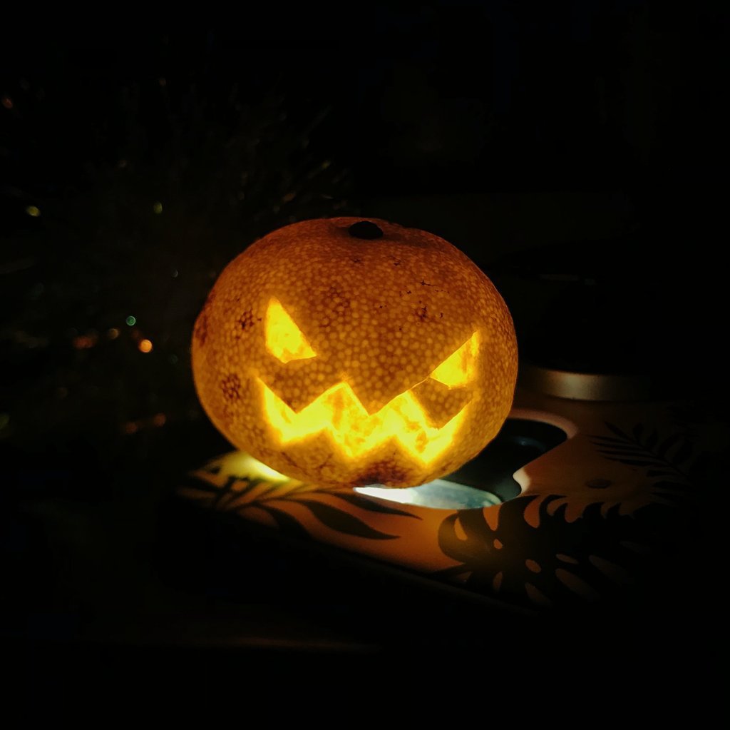 집에 호박이 없어서 | 인스티즈