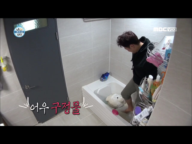 전현무 윌슨 목욕시키기 | 인스티즈