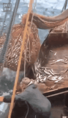 🎶 니가 왜 거기서 나와 ~🎶 ㅋㅋㅋ | 인스티즈