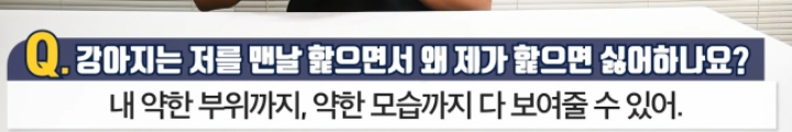강아지는 저를 맨날 핥으면서 왜 제가 핥으면 싫어하나요? | 인스티즈