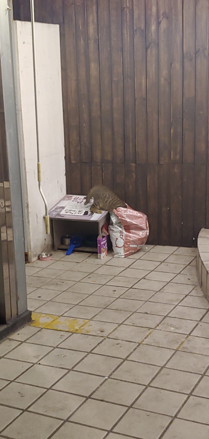 어느 평화로운 골목에 | 인스티즈