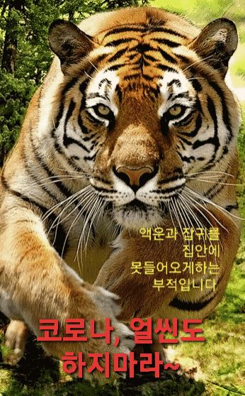 어르신들 사이에서 도는 코로나 쫓는 짤.jpg | 인스티즈