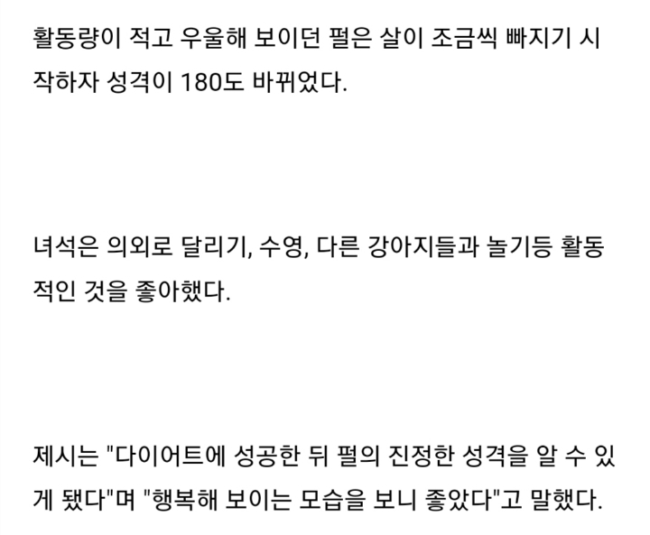 다이어트에 성공한 강아지 | 인스티즈