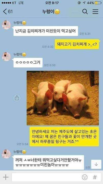 안녕하세요. 제 이름은 초원이에요! | 인스티즈