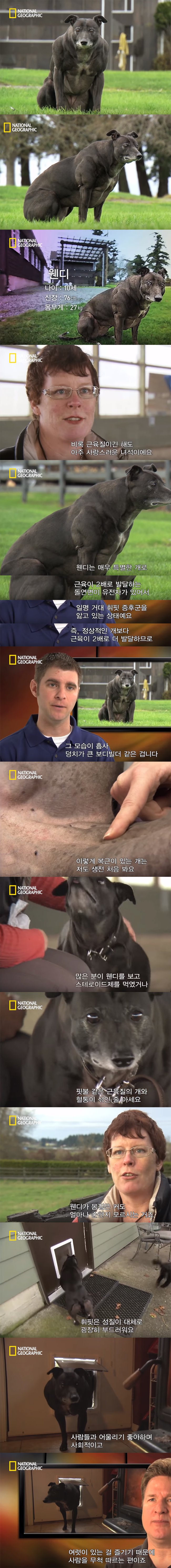 근육이 많이 발달한 웬디.JPG | 인스티즈