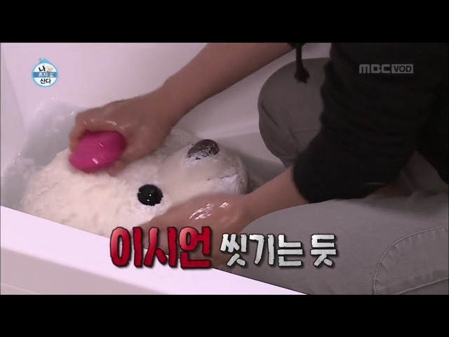 전현무 윌슨 목욕시키기 | 인스티즈