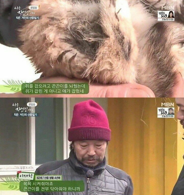 자연인에 나온 고양이.jpg | 인스티즈