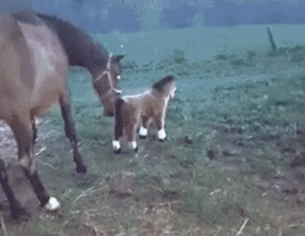 넌 집이 어디니..? | 인스티즈