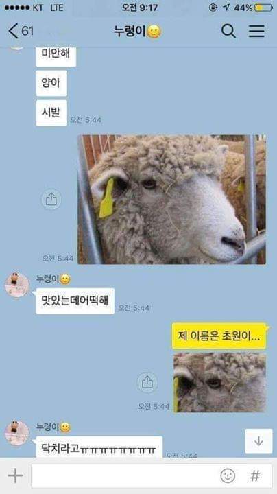 안녕하세요. 제 이름은 초원이에요! | 인스티즈