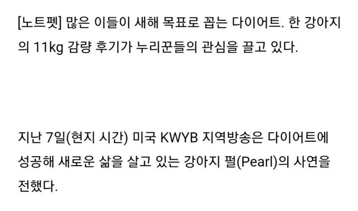 다이어트에 성공한 강아지 | 인스티즈