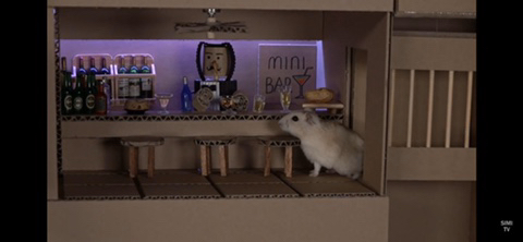 햄스터 전용 지하벙커 | 인스티즈