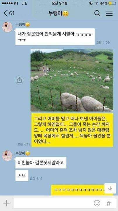 안녕하세요. 제 이름은 초원이에요! | 인스티즈