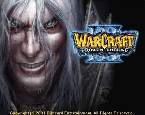 본인이 생각하는 블리자드를 대표하는 게임은? | 인스티즈