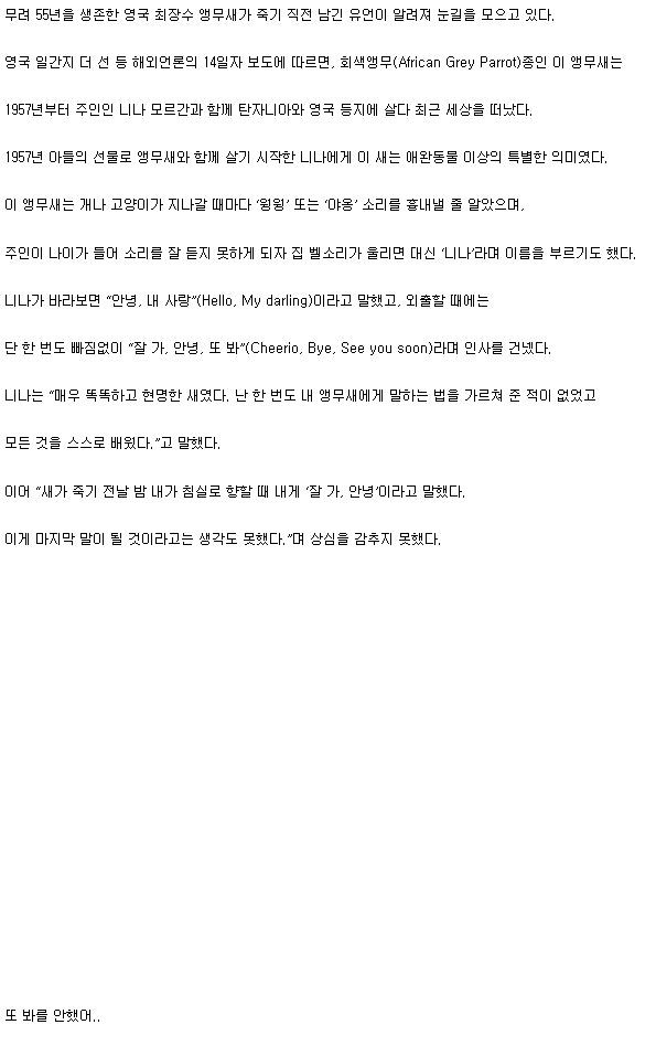 55년 긴 생을 마감한 한 앵무새의 마지막 유언 | 인스티즈