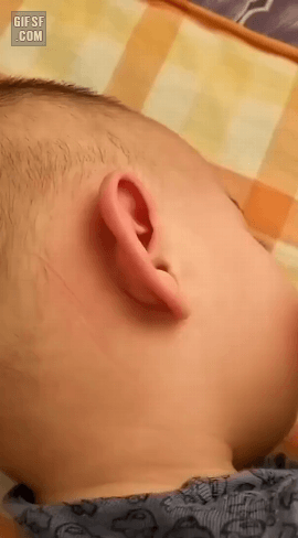 거참 자는데 시끄럽네 | 인스티즈