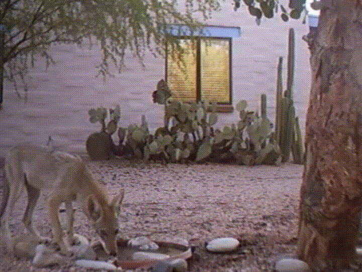 아무도 모르겠지?.gif | 인스티즈