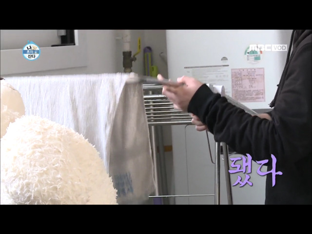 전현무 윌슨 목욕시키기 | 인스티즈