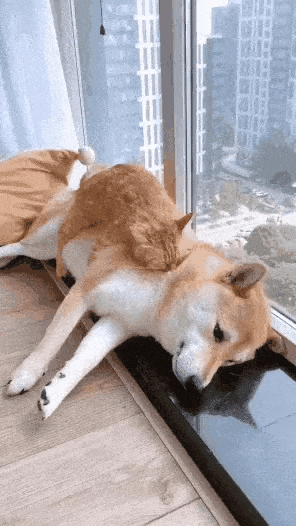 일어나고 싶은데 시바.gif | 인스티즈