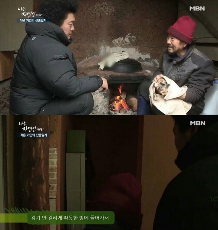 자연인에 나온 고양이.jpg | 인스티즈