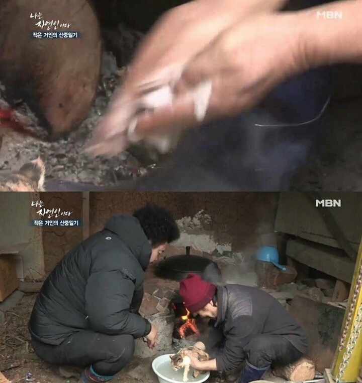 자연인에 나온 고양이.jpg | 인스티즈