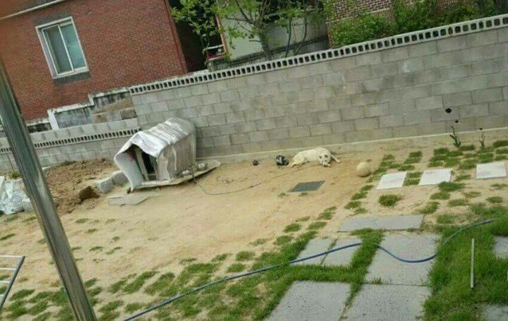 하수구 이미지
