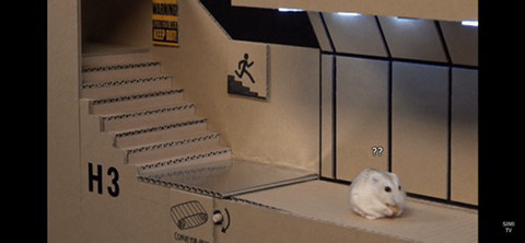 햄스터 전용 지하벙커 | 인스티즈