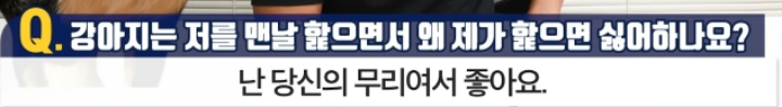 강아지는 저를 맨날 핥으면서 왜 제가 핥으면 싫어하나요? | 인스티즈