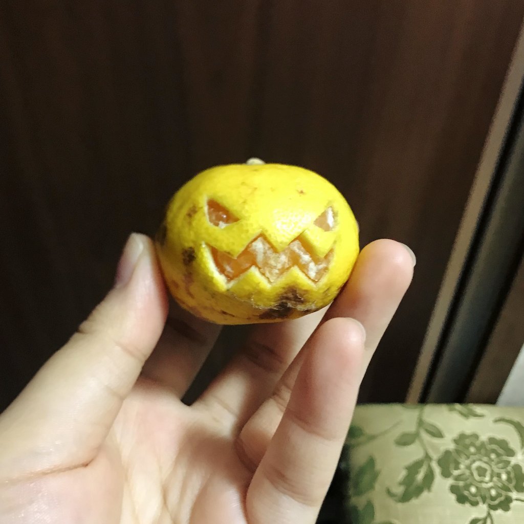 집에 호박이 없어서 | 인스티즈