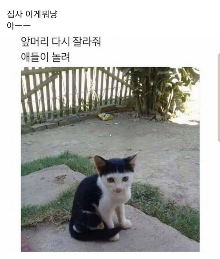 집사야아 놔 앞머리 ㅡ.ㅡ;; | 인스티즈