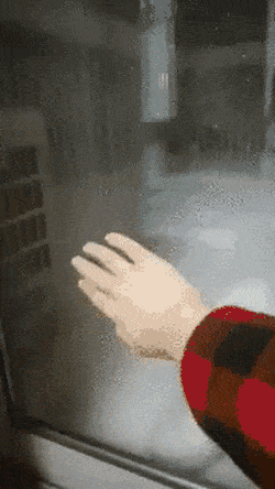 자유를 찾아 떠나는 고양이.gif | 인스티즈