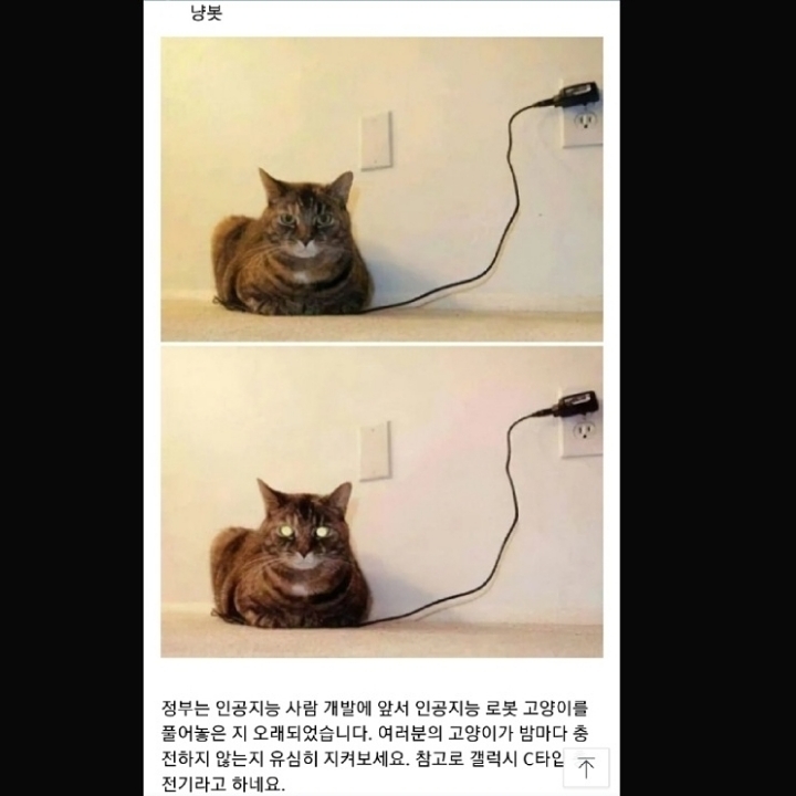 정부가 숨기는 동물의 비밀.jpg | 인스티즈