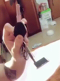 댕댕이 시동거는법.gif | 인스티즈