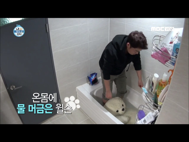 전현무 윌슨 목욕시키기 | 인스티즈