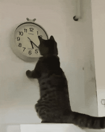 퇴근시간 기다리는 심정..! | 인스티즈