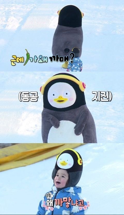 착한 얼굴에 그렇지 못한 질문 (feat. 윌리엄 &amp; 펭수) | 인스티즈