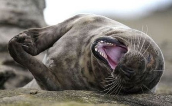 ◎와 의 차이 | 인스티즈