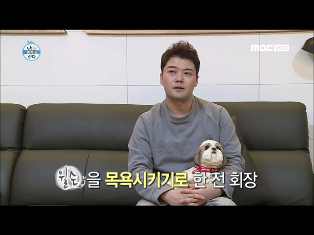 전현무 윌슨 목욕시키기 | 인스티즈