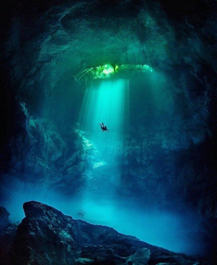 무서워하는 사람들은 진짜 무서워 한다는 바다 (심해주의) | 인스티즈