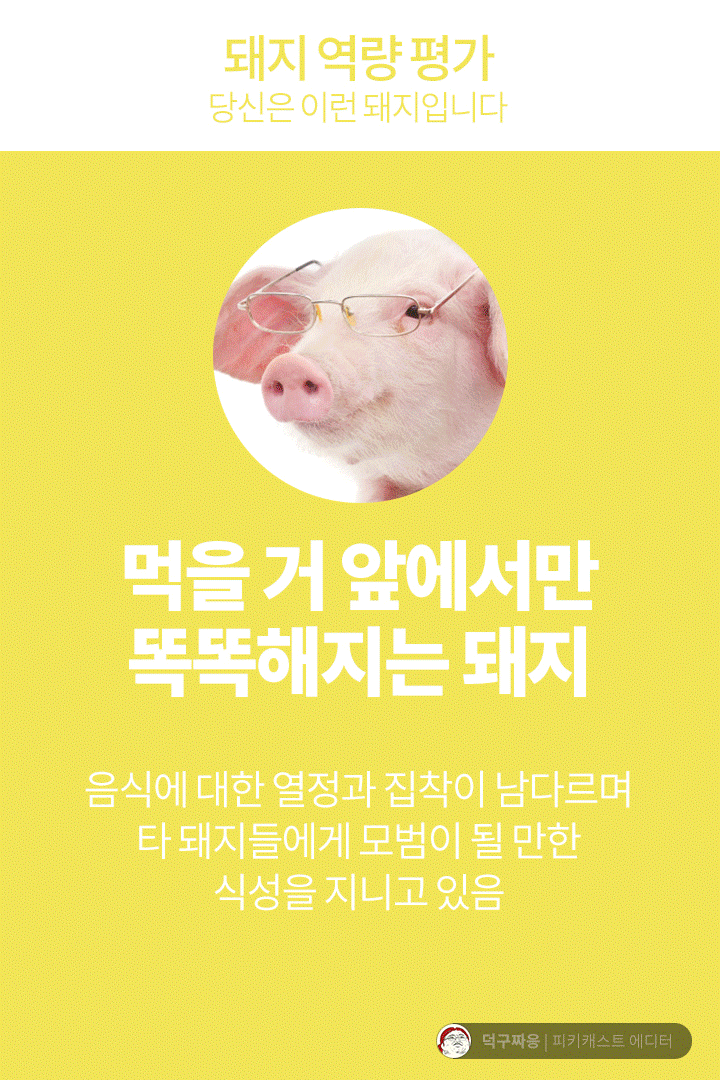 나는 어떤 돼지 인지 알아보자!! | 인스티즈
