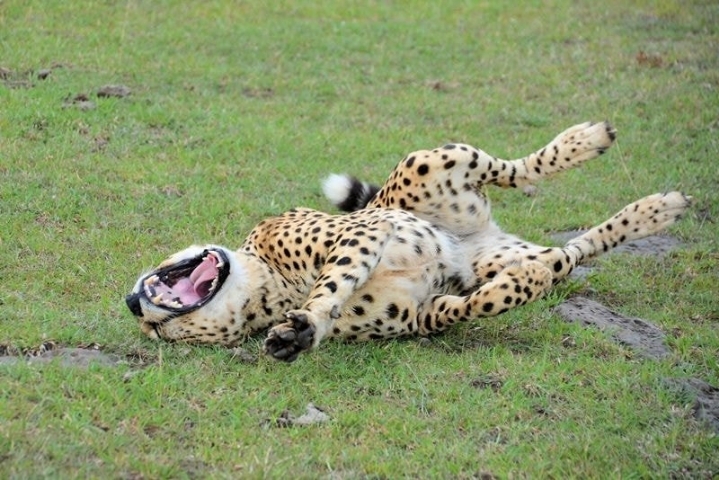 의외로 직장 상사한테 하면 안되는 행동 | 인스티즈