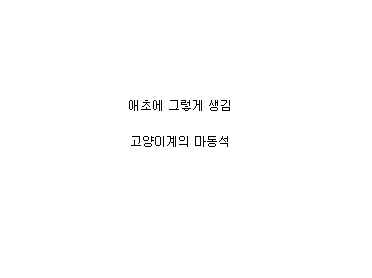 조랭이떡 고양이의 실체 | 인스티즈