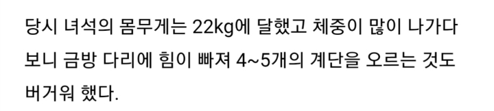 다이어트에 성공한 강아지 | 인스티즈