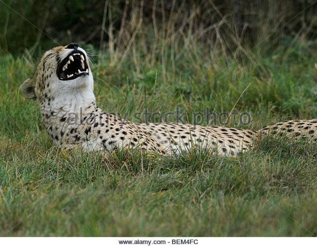 의외로 직장 상사한테 하면 안되는 행동 | 인스티즈