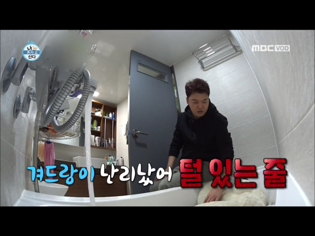 전현무 윌슨 목욕시키기 | 인스티즈