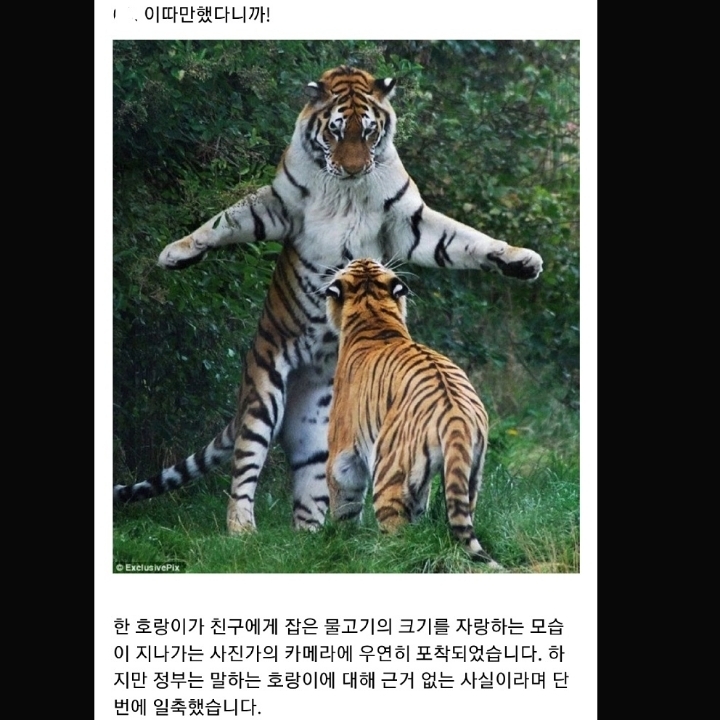 정부가 숨기는 동물의 비밀.jpg | 인스티즈