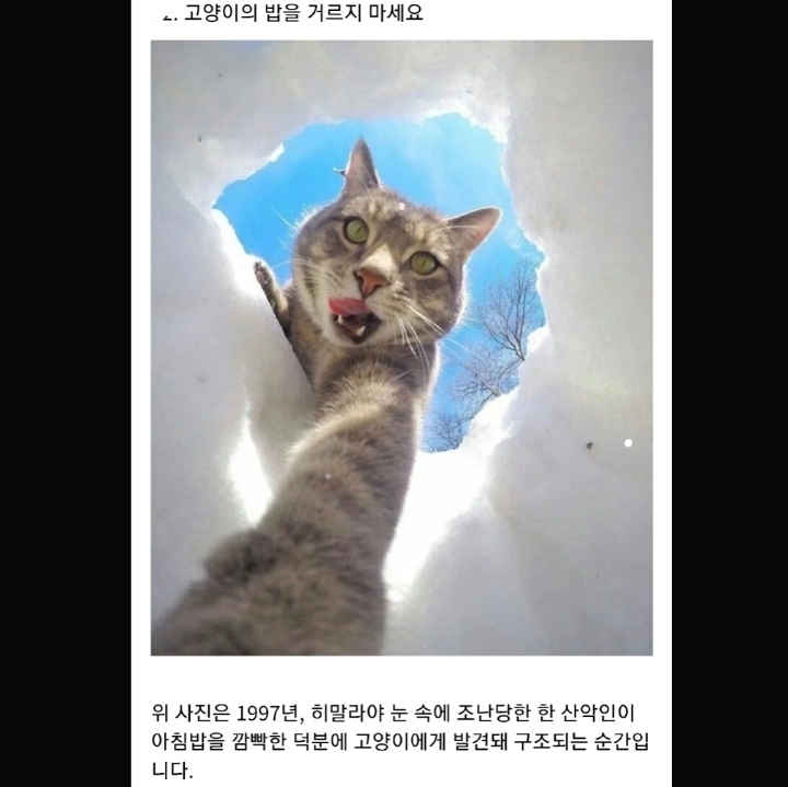 정부가 숨기는 동물의 비밀.jpg | 인스티즈