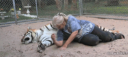 동물 좋아하세요? | 인스티즈