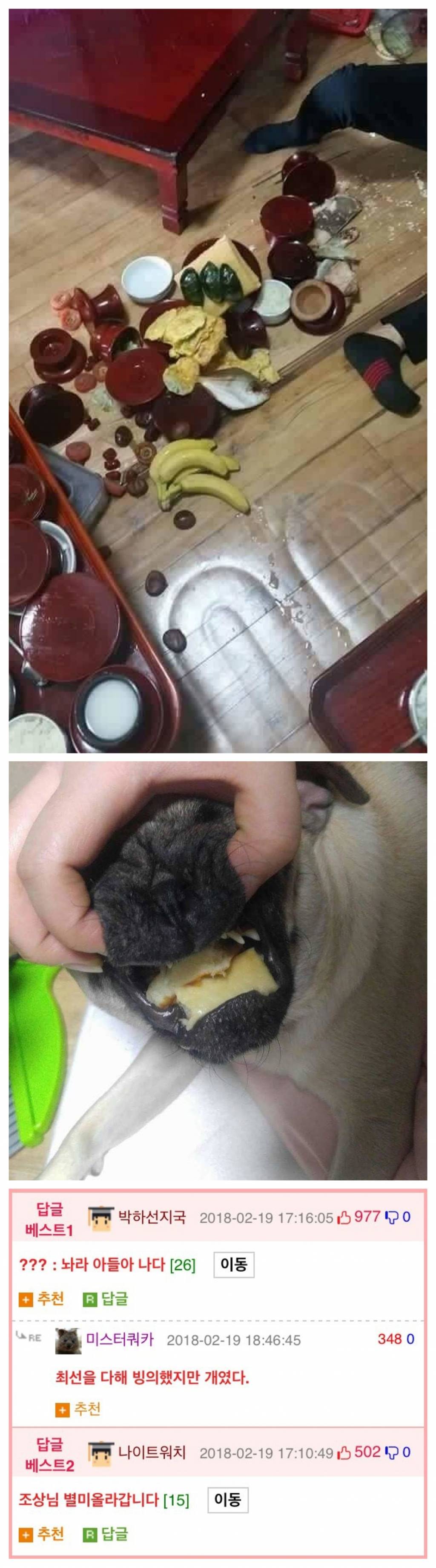 명절 참사 레전드.jpg | 인스티즈